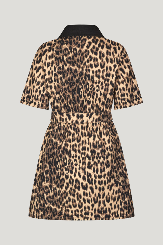 Anessa Jurk Brown Baum Leopard Mini-jurk met structuur, knoopsluiting aan de voorkant, elastische taille en zijzakken - back image